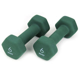 Cast Iron Neoprene Dumbbell