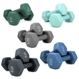 Cast Iron Neoprene Dumbbell