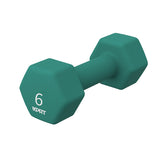 Cast Iron Neoprene Dumbbell