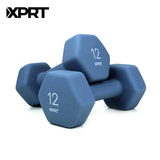 Cast Iron Neoprene Dumbbell