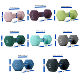 Cast Iron Neoprene Dumbbell