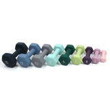 Cast Iron Neoprene Dumbbell