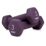 Cast Iron Neoprene Dumbbell