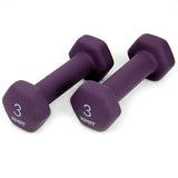 Cast Iron Neoprene Dumbbell