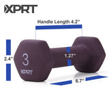 Cast Iron Neoprene Dumbbell
