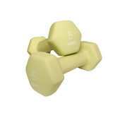 Cast Iron Neoprene Dumbbell