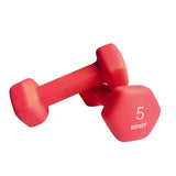 Cast Iron Neoprene Dumbbell
