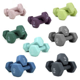 Cast Iron Neoprene Dumbbell