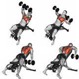 Sit Up Bench