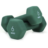 Cast Iron Neoprene Dumbbell